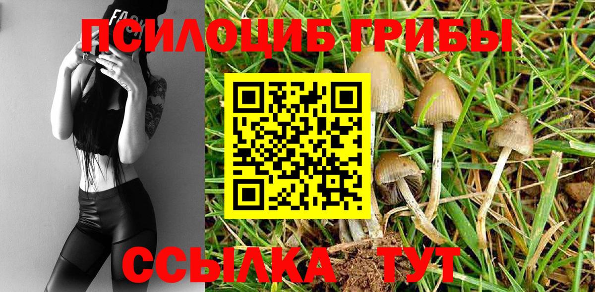 наркошоп  Вход с VPN  Воскресенск  Псилоцибиновые грибы Psilocybine cubensis  Псилоцибиновые грибы прущие грибы 