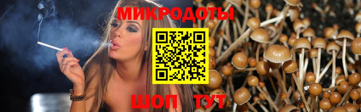 Галлюциногенные грибы Psilocybine cubensis Воскресенск